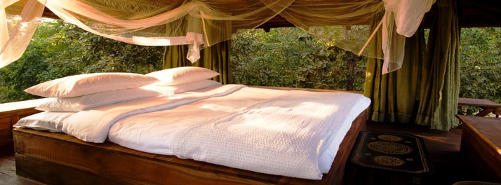 716/Taj Baghvan - Pench National Park 07.jpg